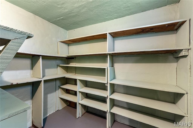 4020 Neosho St, Saint Louis, MO 63116 - view of storage