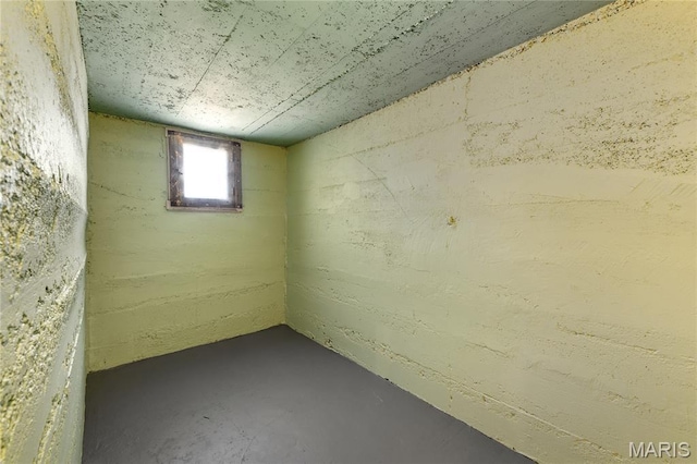 4020 Neosho St, Saint Louis, MO 63116 - view of basement