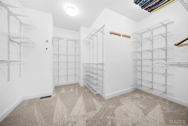 1019 Hawks Landing Dr, Lake St Louis, MO 63367 - walk in closet with carpet flooring