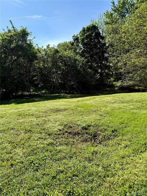 view of grassy yard featuring a wooded view