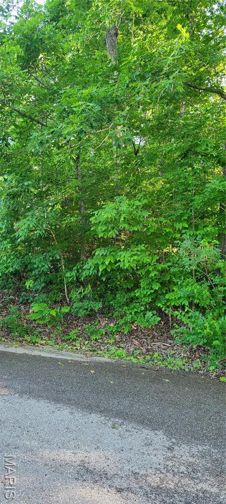 9773 W Vista Dr, Hillsboro, MO 63050 - photo 17