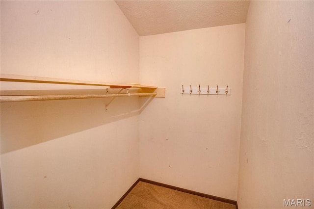 968 Super Slab Rd, Greenfield, IL 62044 - spacious closet featuring carpet floors and vaulted ceiling