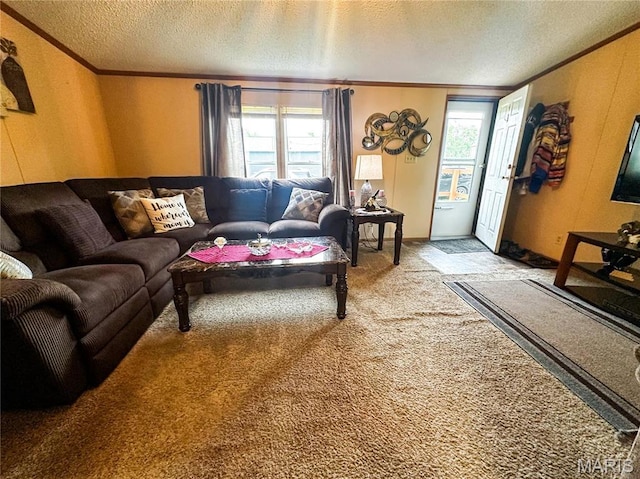 400 W Henrichs St, Litchfield, IL 62056 - photo 4