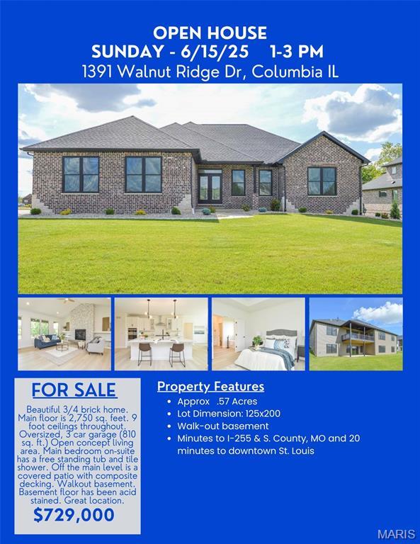 1391 Walnut Ridge Dr, Columbia, IL 62236 - photo 1