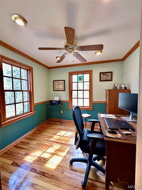 15716 County Road 5190, Rolla, MO 65401 - office featuring plenty of natural light, ceiling fan, wood finished floors, crown molding, and baseboards