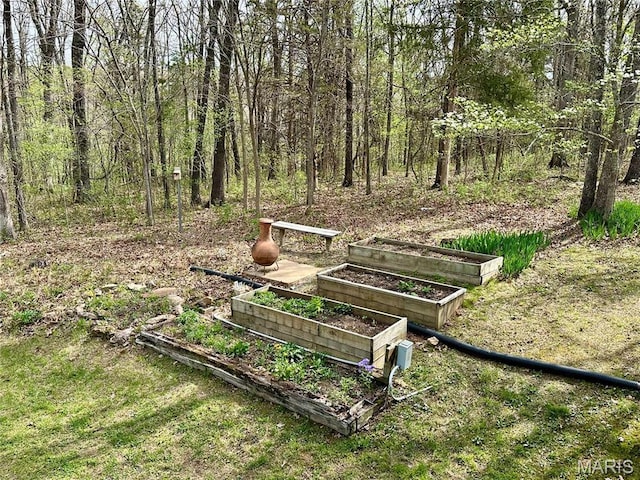 15716 County Road 5190, Rolla, MO 65401 - view of property's community with a garden
