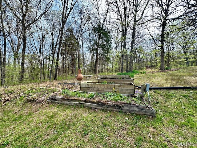 15716 County Road 5190, Rolla, MO 65401 - view of yard featuring a vegetable garden