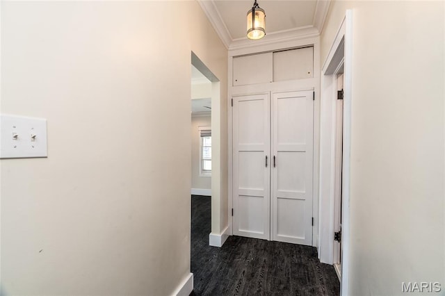 305 W Ray St, Christopher, IL 62822 - corridor with crown molding, baseboards, and dark wood-type flooring