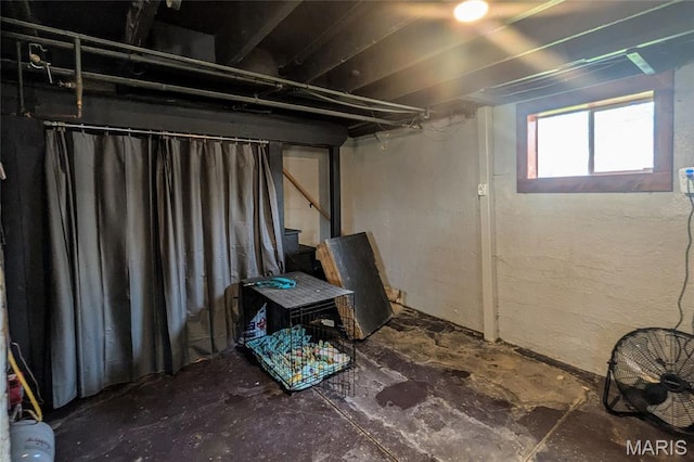305 W Ray St, Christopher, IL 62822 - view of basement