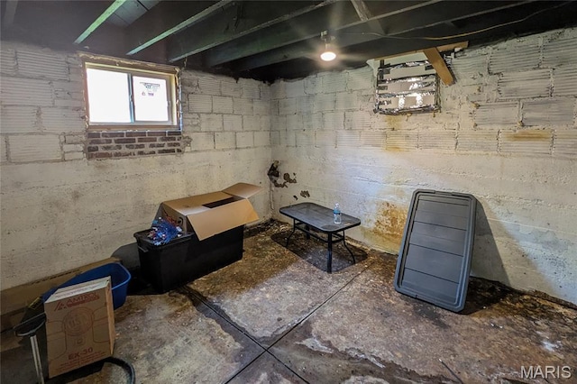 305 W Ray St, Christopher, IL 62822 - view of below grade area