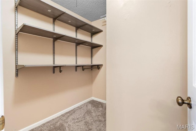 walk in closet with carpet