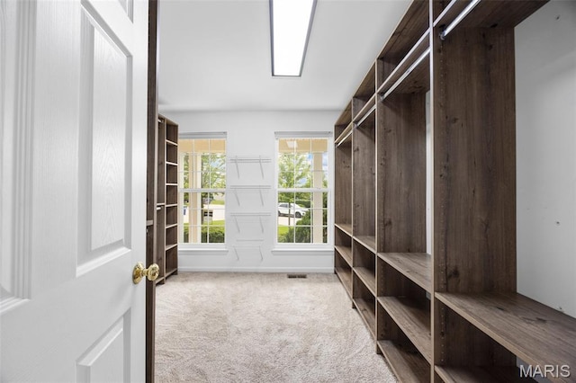 12 Lambeth Ln Unit 11B, Dardenne Prairie, MO 63368 - walk in closet featuring carpet