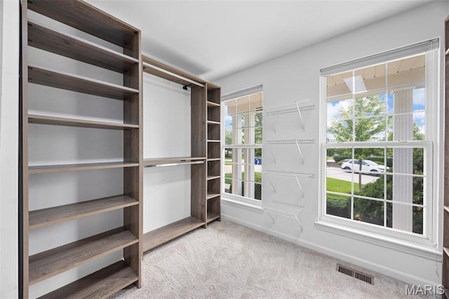 12 Lambeth Ln Unit 11B, Dardenne Prairie, MO 63368 - walk in closet with carpet
