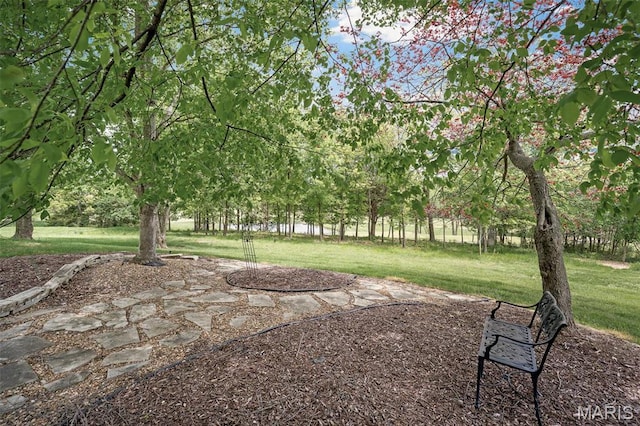 1189 Turnberry Dr, Innsbrook, MO 63390 - view of grassy yard