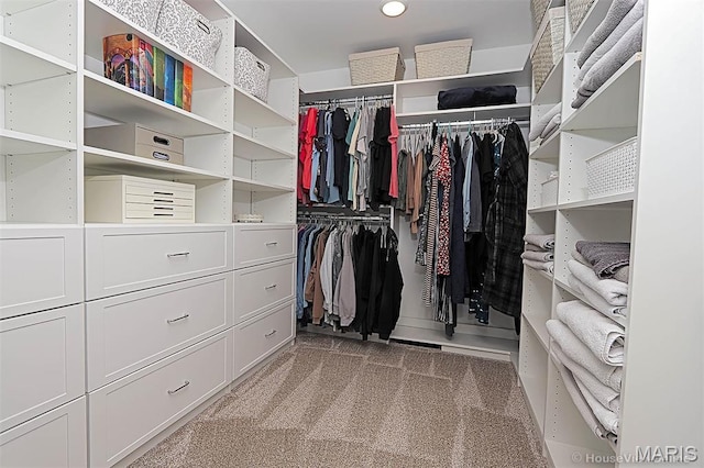 108 Buford Mountain Rd, Farmington, MO 63640 - spacious closet featuring light carpet