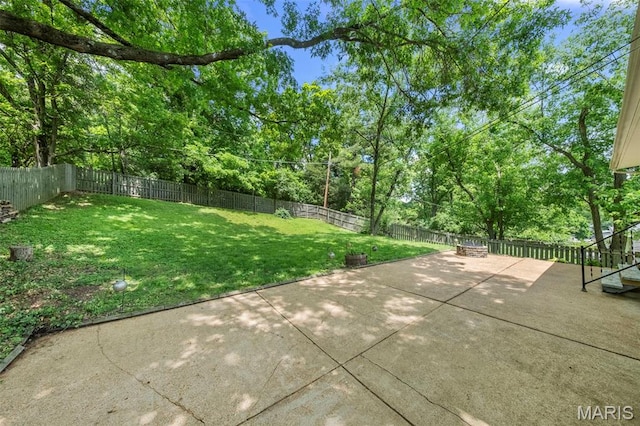 view of yard featuring a patio