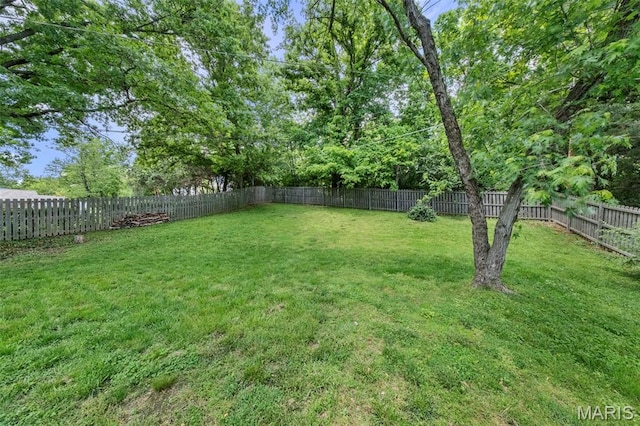 view of yard