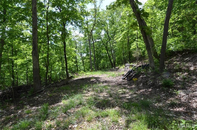 1730 Chimney Top Farms Rd, Eureka, MO 63038