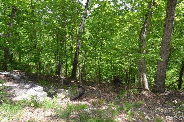 1730 Chimney Top Farms Rd, Eureka, MO 63038
