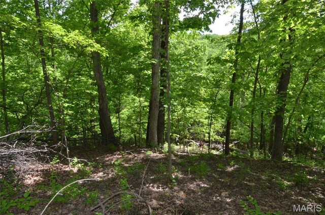 1730 Chimney Top Farms Rd, Eureka, MO 63038