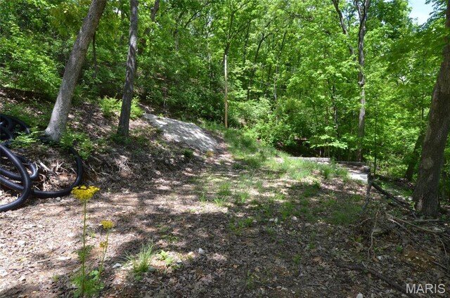 1730 Chimney Top Farms Rd, Eureka, MO 63038