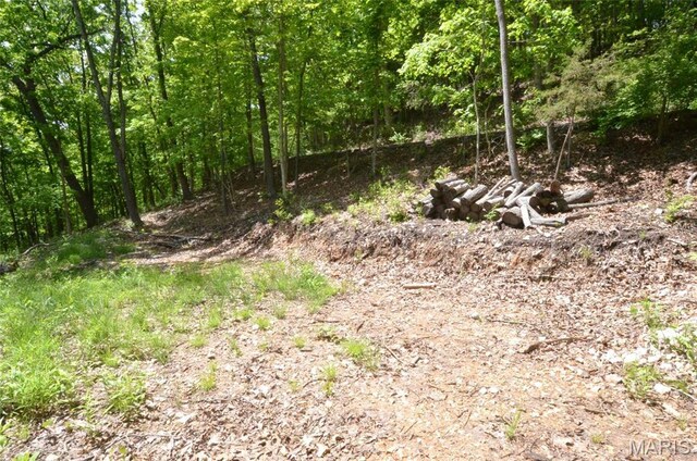 1730 Chimney Top Farms Rd, Eureka, MO 63038