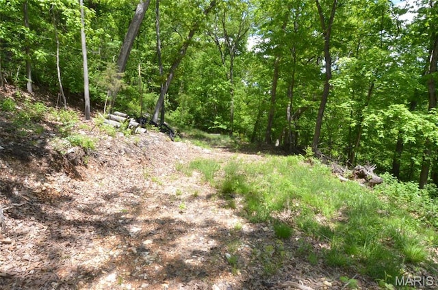 1730 Chimney Top Farms Rd, Eureka, MO 63038