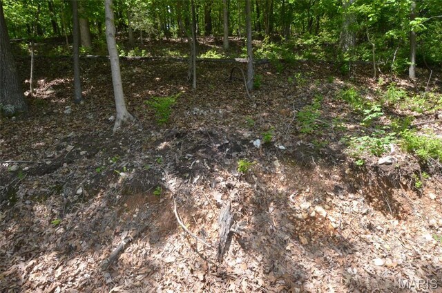 1730 Chimney Top Farms Rd, Eureka, MO 63038