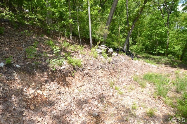 1730 Chimney Top Farms Rd, Eureka, MO 63038