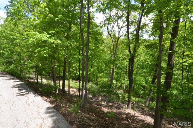 1730 Chimney Top Farms Rd, Eureka, MO 63038
