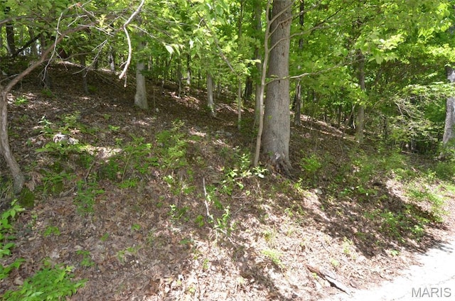 1730 Chimney Top Farms Rd, Eureka, MO 63038