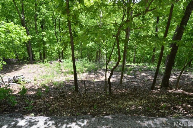 1730 Chimney Top Farms Rd, Eureka, MO 63038
