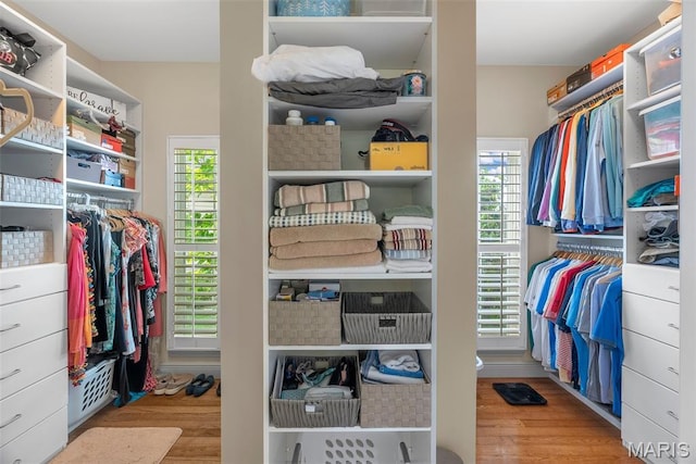 spacious closet featuring wood finished floors