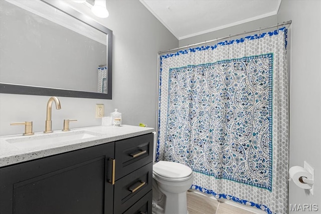 284 Ramsey Ln, Ballwin, MO 63021 - bathroom with vanity, toilet, ornamental molding, and a shower with shower curtain