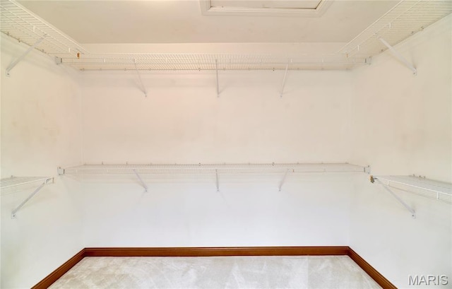 14424 Valley Meadow Ct W, Chesterfield, MO 63017 - spacious closet with carpet floors