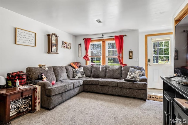 1158 Mulberry St, Bismarck, MO 63624 - living room with light colored carpet
