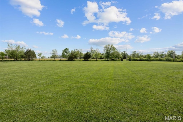 2 Mahogany Run, Farmington, MO 63640 - view of grassy yard