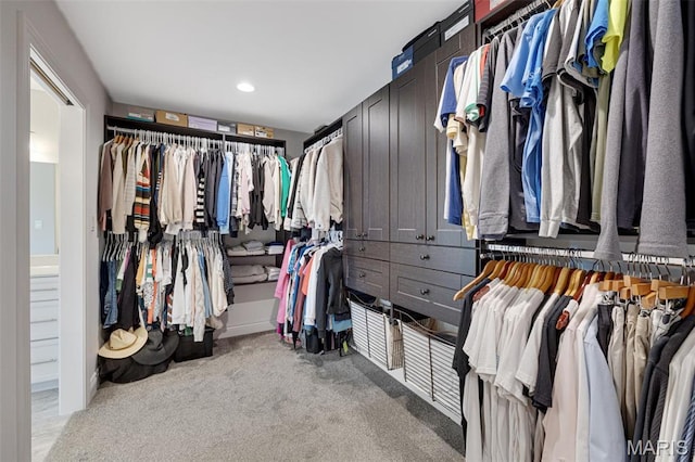 2 Mahogany Run, Farmington, MO 63640 - walk in closet with light colored carpet
