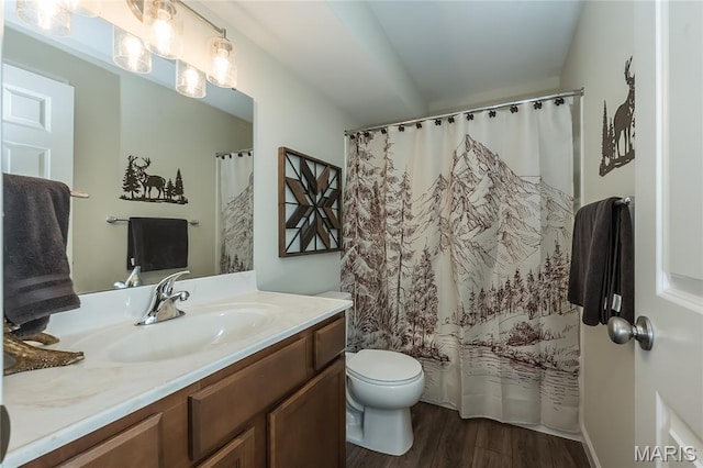 17006 Main St, Wildwood, MO 63040 - bathroom with vanity, toilet, wood finished floors, and a shower with shower curtain