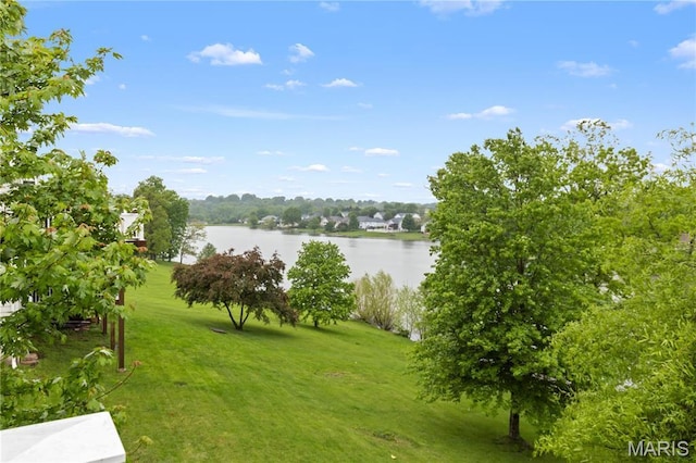 827 Bridgewater Xing, Villa Ridge, MO 63089 - water view