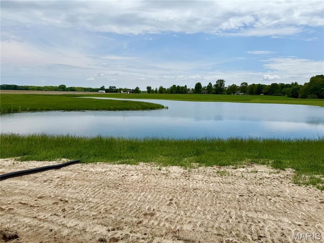 31732 Mitchell Creek Rd, Brighton, IL 62012 - photo 53
