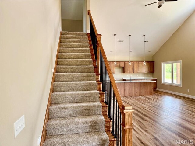 31732 Mitchell Creek Rd, Brighton, IL 62012 - photo 10