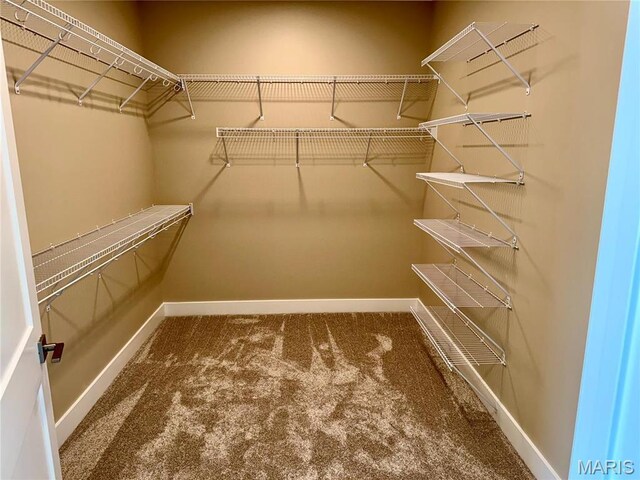 31732 Mitchell Creek Rd, Brighton, IL 62012 - photo 21