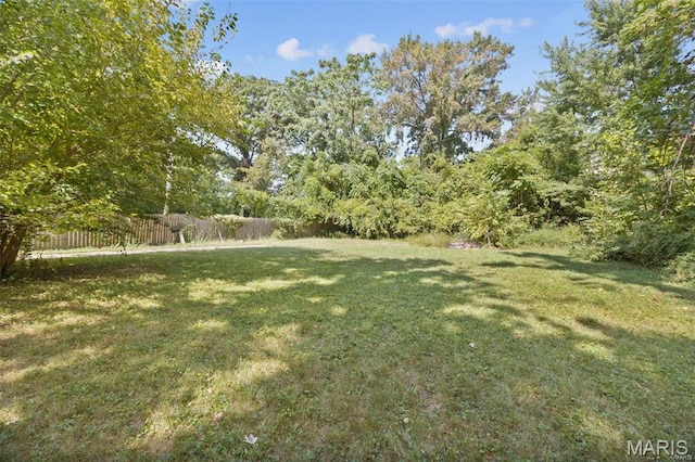 view of yard