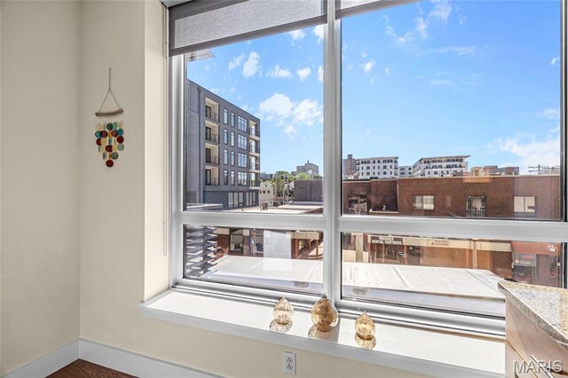 9 N Euclid Ave Unit 303, Saint Louis, MO 63108 - detailed view of baseboards and a city view
