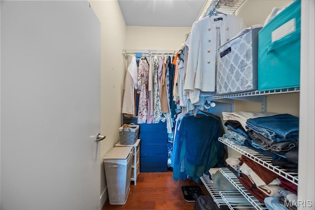 9 N Euclid Ave Unit 303, Saint Louis, MO 63108 - spacious closet with wood finished floors