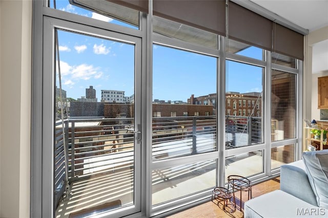 9 N Euclid Ave Unit 303, Saint Louis, MO 63108 - doorway to outside featuring a view of city and healthy amount of natural light