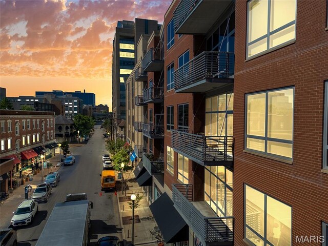 9 N Euclid Ave Unit 303, Saint Louis, MO 63108 - view of city