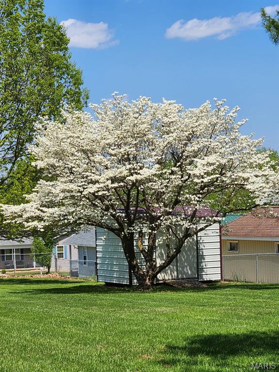 209 Highley Ln, Desloge, MO 63628 - view of yard