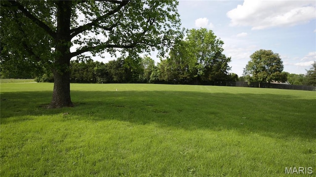 209 Highley Ln, Desloge, MO 63628 - view of green lawn
